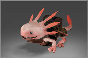 Inscribed Axolotl
