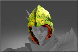 Inscribed Sparrowhawk Hood